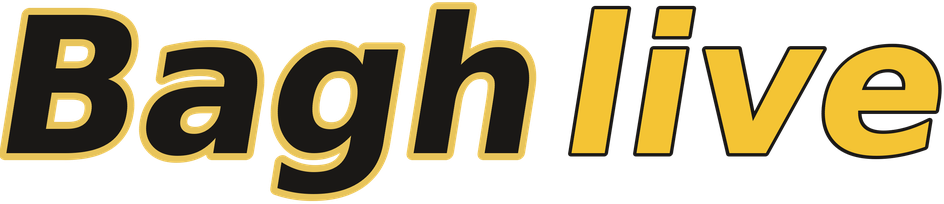 Baghlive logo